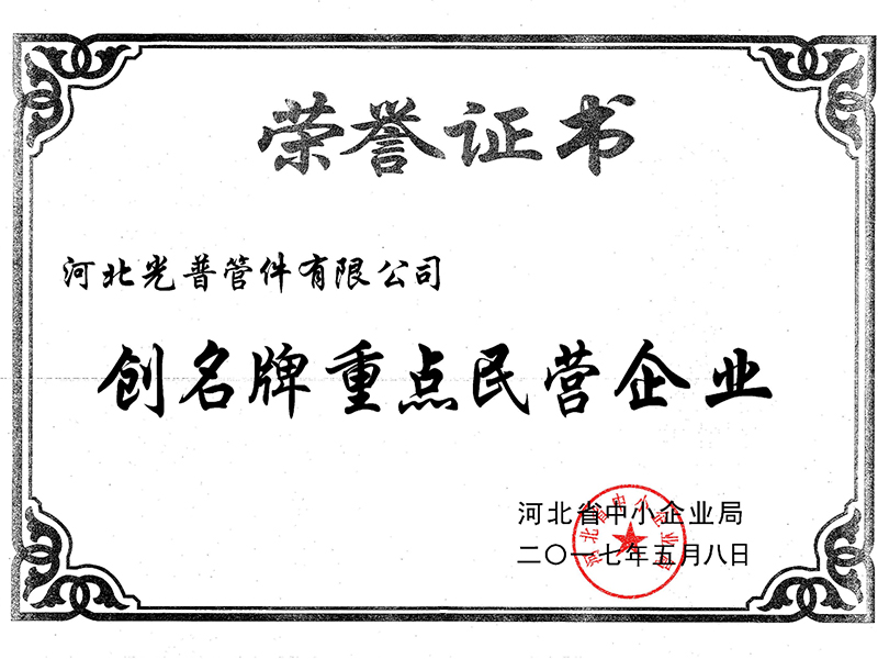 創(chuàng)名牌重點民營企業(yè)